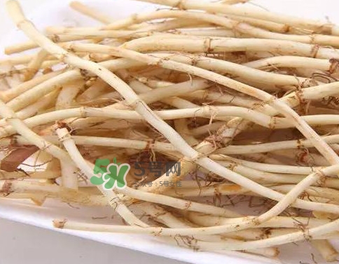 长期吃折耳根有什么好处,常吃折耳根有什么坏处吗 长期吃折耳根有什么好处,常吃折耳根有什么坏处吗