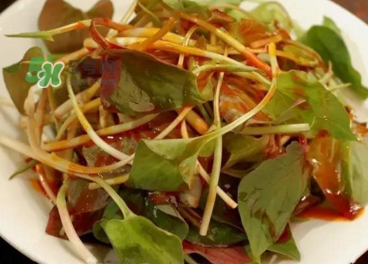 新鲜鱼腥草多少钱一斤,鱼腥草的价格是多少钱一斤