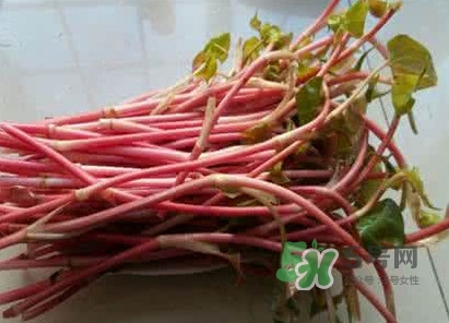 鱼腥草一次可以吃多少,鱼腥草有多少种吃法怎样吃最好