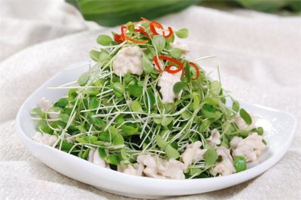 香椿苗的种植方法,香椿苗的做法大全