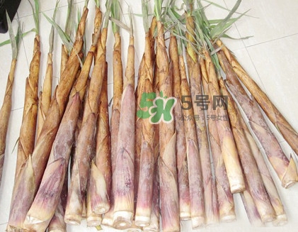 苦笋是什么竹子的笋,苦笋是什么竹子的竹笋 苦笋是什么竹子的笋,苦笋是什么竹子的竹笋