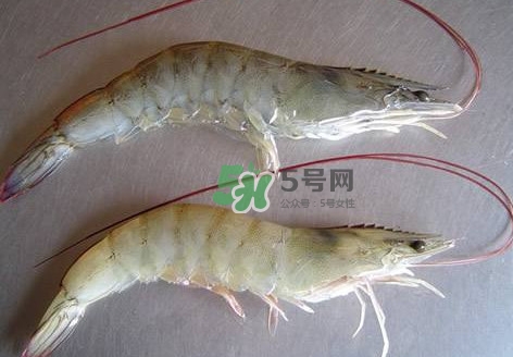白虾有寄生虫吗,白虾生吃有寄生虫吗