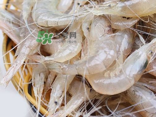 白虾是河虾还是海虾?,白虾属于海虾还是河虾