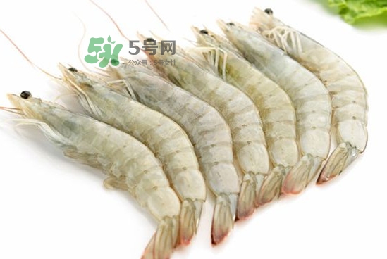 太湖白虾属于海鲜吗,太湖白虾是海虾还是河虾