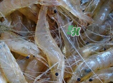 苏州太湖白虾几月大量上市,太湖一号虾什么时候上市