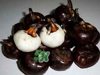 荸荠中有什么寄生虫,寄生荸荠体内的寄生虫