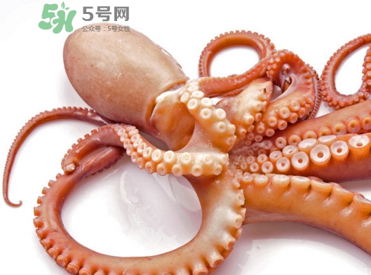 章鱼血是什么颜色的,章鱼的血到底是什么颜色的