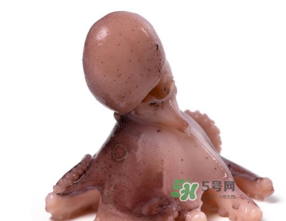 杀章鱼怎样杀的视频,如何杀章鱼