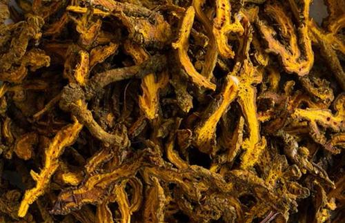 黄连泡水喝有什么作用呢(黄连泡水喝的作用)