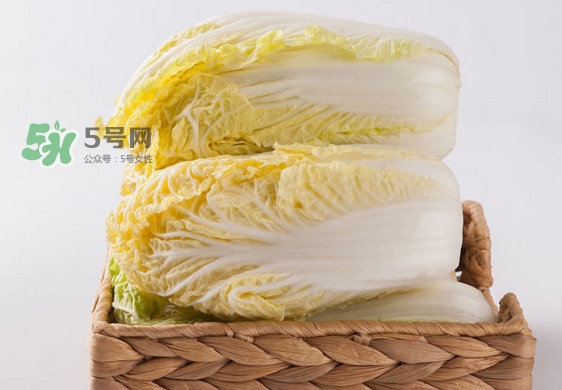 娃娃菜是什么季节的蔬菜,娃娃菜是什么季节的?