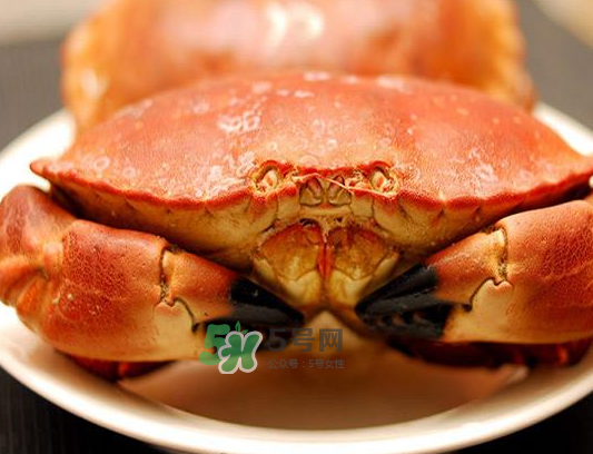 面包蟹一只多少斤,一个面包蟹大约多少斤 面包蟹一只多少斤,一个面包蟹大约多少斤