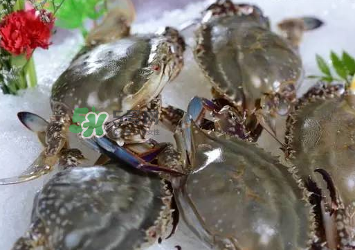 活的梭子蟹放冰箱是放冷藏还是放冷冻啊,梭子蟹保存冷冻还是冷藏