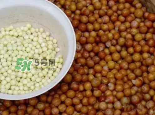 鸡头米一次吃多少合适,多久吃一次,鸡头米一天吃多少合适 鸡头米一次吃多少合适,多久吃一次,鸡头米一天吃多少合适