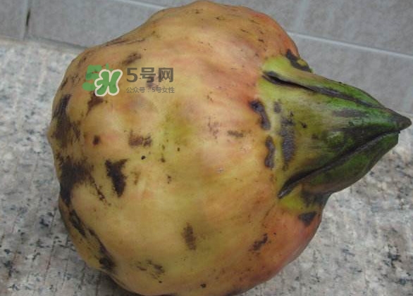 鸡头米是凉性的吗,鸡头米是凉性的吗儿童吃了好吗?