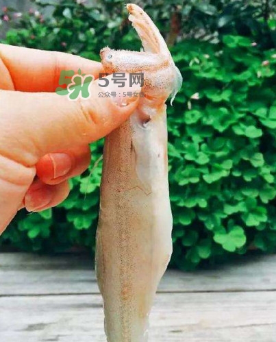 水潺怎么读,水潺怎么读怎么看新鲜的 水潺怎么读,水潺怎么读怎么看新鲜的