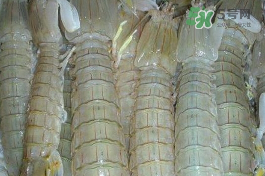 虾蛄怎么读拼音,虾蛄怎么读为什么叫皮皮虾