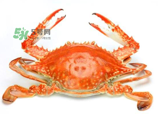 花蟹可以放冰箱吗,活花蟹可以放冰箱吗