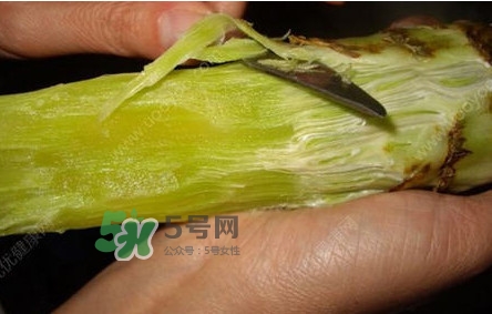 青笋怎样做才好吃,青笋怎么处理图解