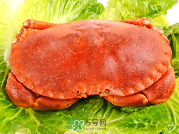 面包蟹多少钱一斤,面包蟹好吃还是梭子蟹好吃