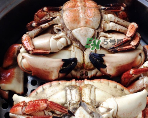 面包蟹的做法怎么做好吃,面包蟹为什么不能清蒸呢