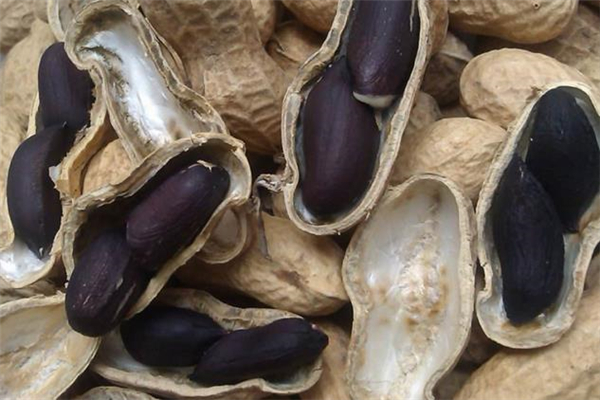 黑花生好还是红花生好,黑皮花生和红皮花生哪个好吃