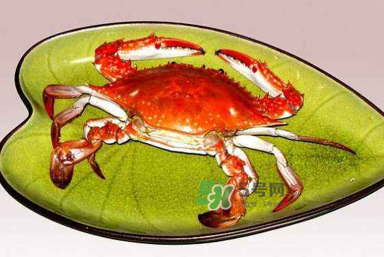 海螃蟹蒸多长时间最好吃,螃蟹蒸多长时间