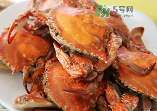 煮熟的梭子蟹怎么保存方法,蒸熟的梭子蟹吃不完怎么保存