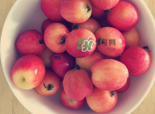 海棠果是凉性还是热性,海棠果是寒性的吗