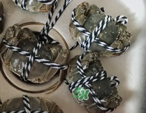 大闸蟹的蒸煮方法,大闸蟹可以水煮吗?