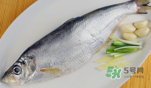 响鱼和鲥鱼的区别,响鱼是什么鱼