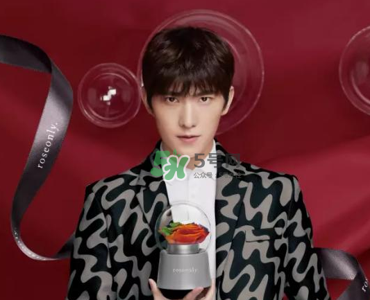 roseonly音乐盒的音乐是什么,roseonly圣诞音乐盒