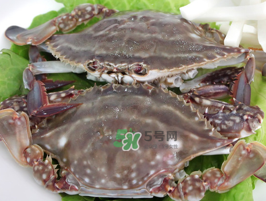 梭子蟹为什么这么贵,今年梭子蟹为什么这么贵