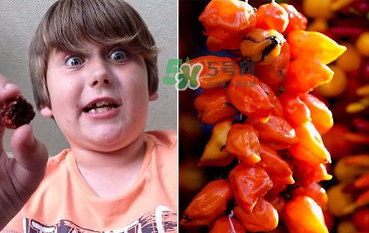 死神辣条什么做的,死神辣条用什么做的