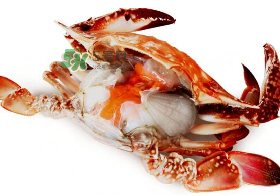 梭子蟹是寒性的吗月经期适合吃吗,梭子蟹是寒性的吗