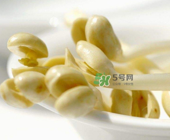 花生芽能炒着吃吗,花生可以生芽菜吃吗 花生芽能炒着吃吗,花生可以生芽菜吃吗