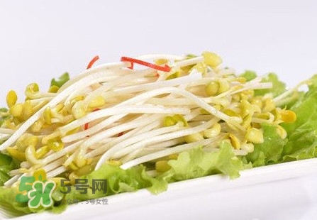 豆芽怎么保存新鲜,豆芽怎么保存到第二天