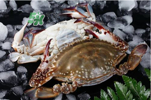 怎样保存活螃蟹,梭子蟹怎样保存效果最好 怎样保存活螃蟹,梭子蟹怎样保存效果最好
