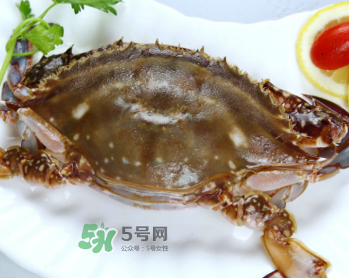 梭子蟹什么时候上市?,梭子蟹几月份上市