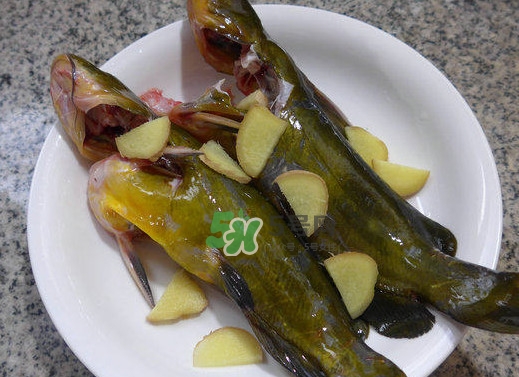 冬季钓黄刺鱼,黄鱼什么时候最好钓