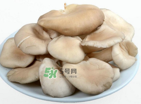 野生蘑菇和海带可以一起吃吗?,秀珍菇不能跟什么一起吃