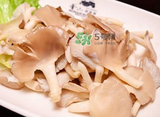 秀珍菇孕妇可以吃吗,秀珍菇孕妇能吃吗