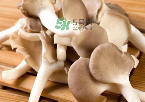 秀珍菇能不能吃,秀珍菇禁忌