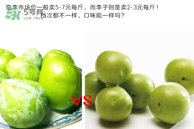 奈李多少钱一斤2021,奈李多少钱一斤2020