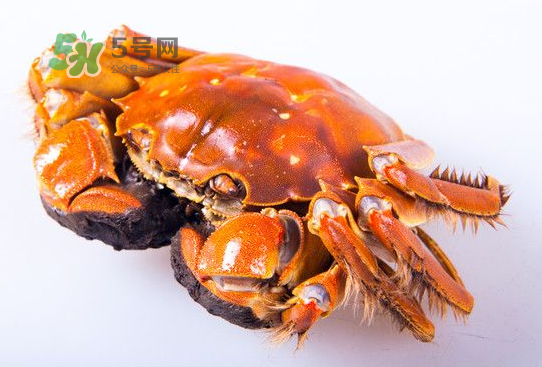 今年太湖大闸蟹的价格,江苏太湖大闸蟹简介 今年太湖大闸蟹的价格,江苏太湖大闸蟹简介