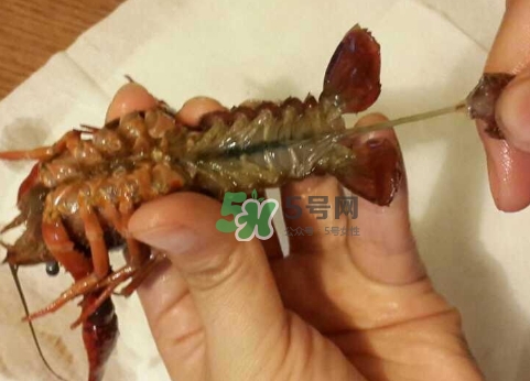 小龙虾背部的黑线是什么,龙虾尾黑线怎么处理 小龙虾背部的黑线是什么,龙虾尾黑线怎么处理