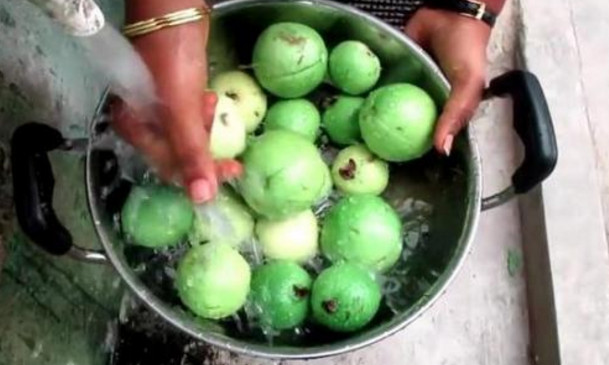 芭乐没熟能吃吗,没熟透的芭乐可以吃吗