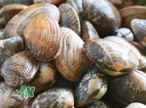 花蛤开口了还能吃吗,花蛤开口了还能吃吗 花蛤放冰箱第二天都开口了