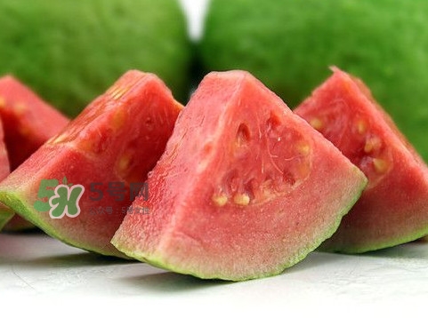 芭乐怎么保存的更久一点,芭乐怎么保存不容易烂