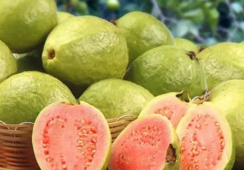 斐乐手表多少钱,芭乐多少钱一斤现在