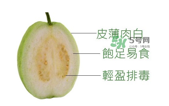 芭乐水果长什么样,芭乐水果